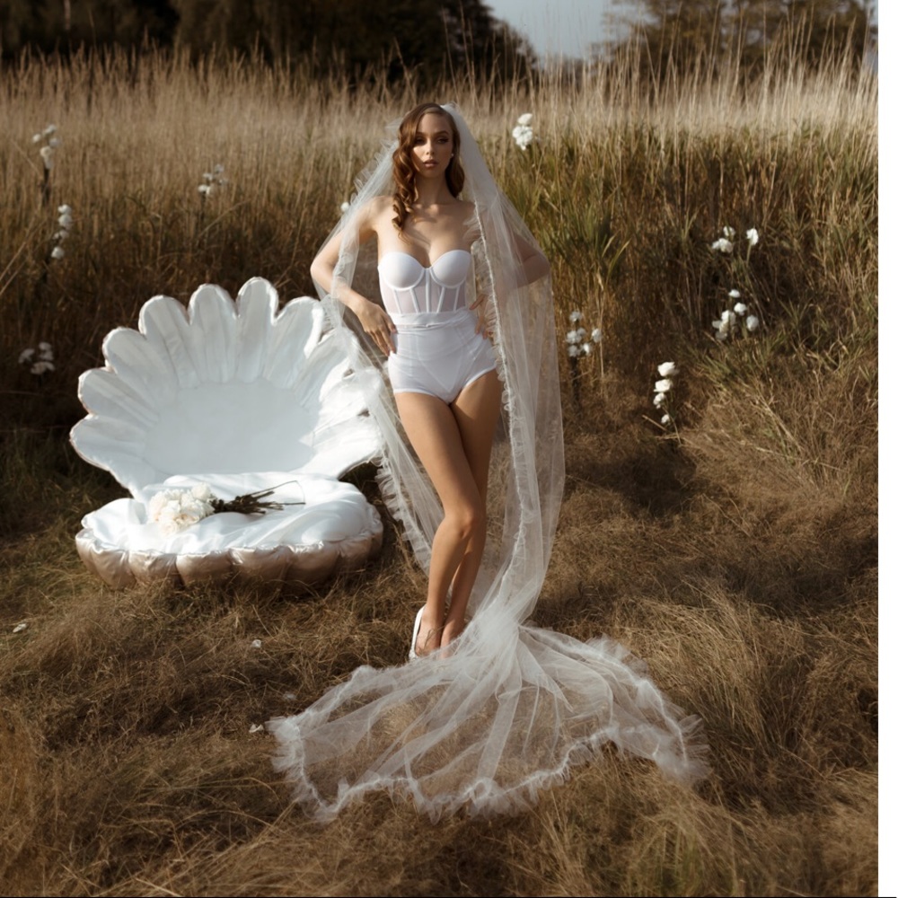 jane rhyan dusty veil cathedral length